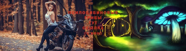spice Богородск