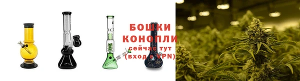 spice Богородск