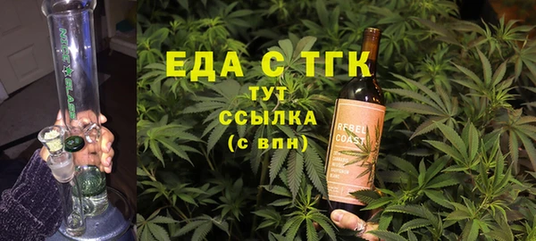 дживик Верхний Тагил