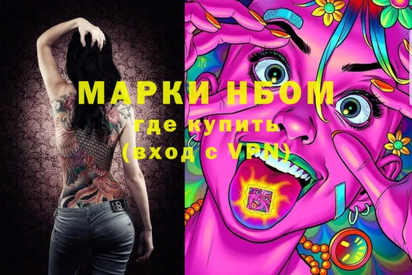 стафф Богданович