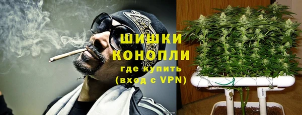 стафф Богданович