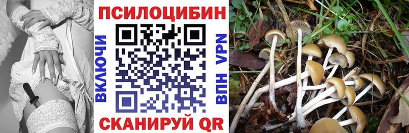 Галлюциногенные грибы Cubensis  Верея 